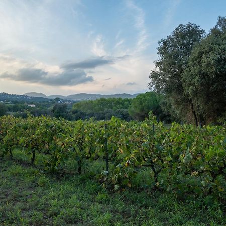 Casa Rural El Bruguer Vell Santa Eulalia de Ronsana Екстер'єр фото