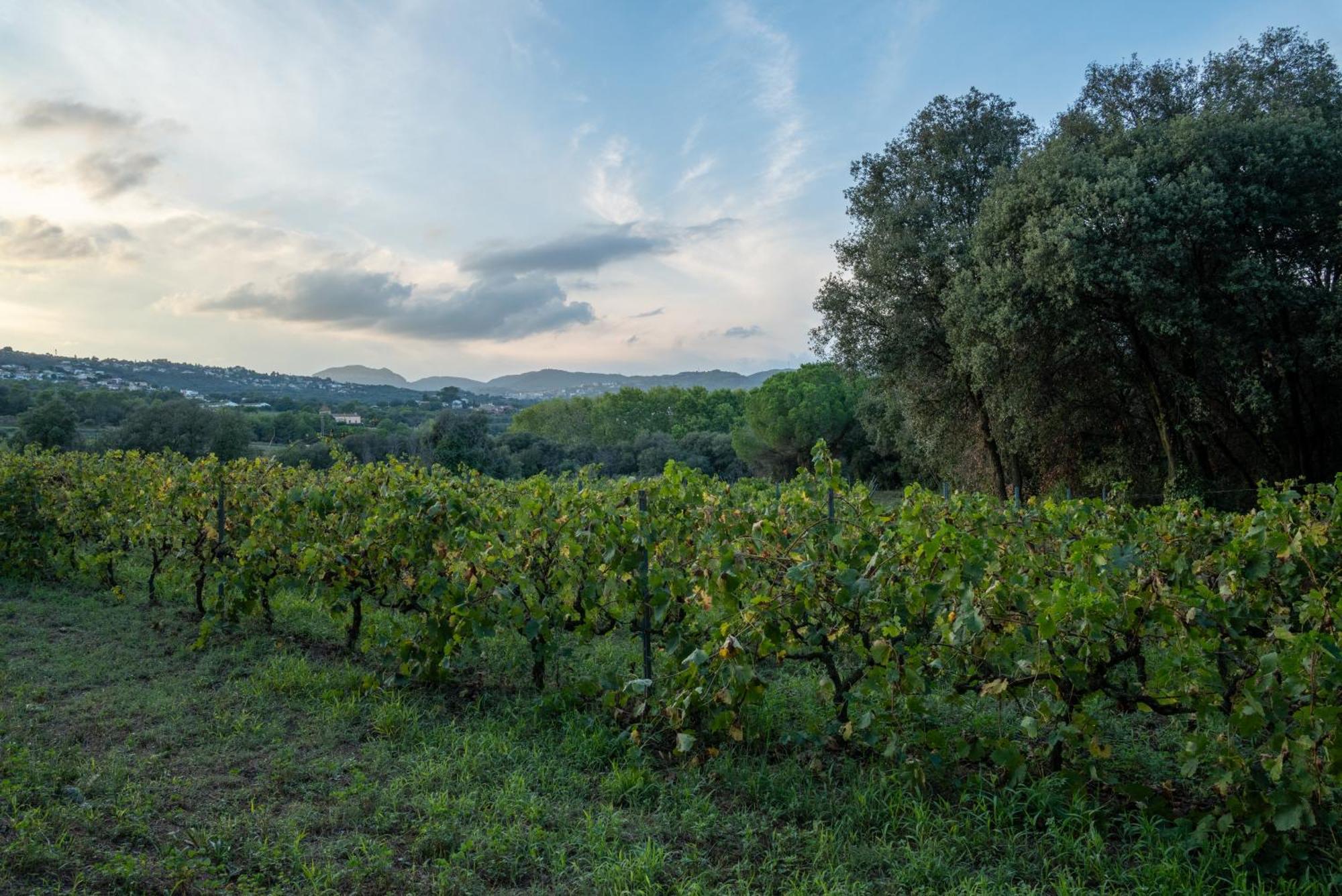 Casa Rural El Bruguer Vell Santa Eulalia de Ronsana Екстер'єр фото